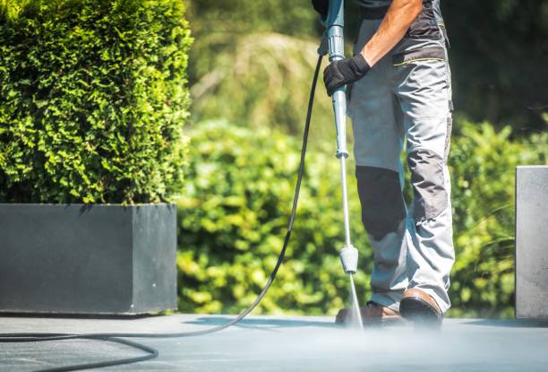 Best Pool Deck Cleaning  in Greenvle, IL