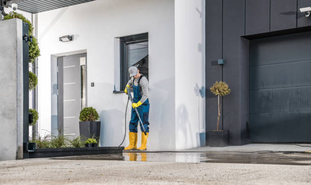 Best Sign and Awning Cleaning  in Greenvle, IL