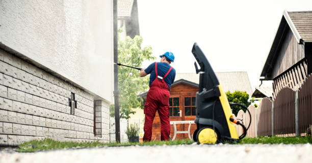 Best Dumpster Area Cleaning  in Greenvle, IL
